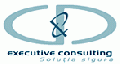 SC C&D EXECUTIVE CONSULTING logo
