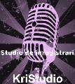 Logo P.F. KRISTUDIO