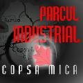 Logo SC PARC INDUSTRIAL COPSA MICA SA