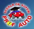 SC PROF AUTO A&M SRL logo