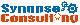 Logo SYNAPSE CONSULTING SRL