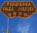 Logo VALEA MARIEI