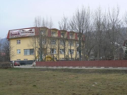 Hrana caini