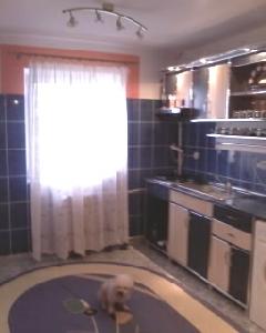 Apartament Ostroveni
