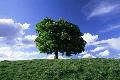 Iso 14001