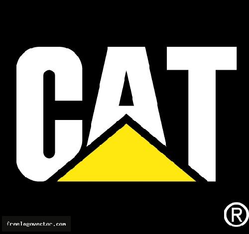 Piese utilaje Caterpillar,buldozer Caterpillar,excavator Cat