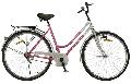 Bicicleta de oras Rich Bike 2892A1