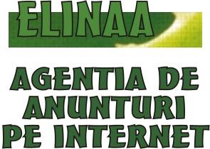 Anunturi pe internet