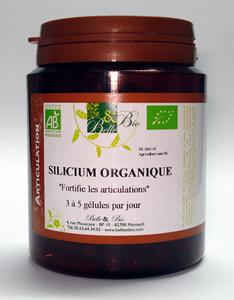 Siliciu organic