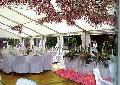 Catering festivitati