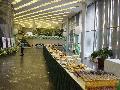 Catering conferinte