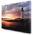 Tablou canvas