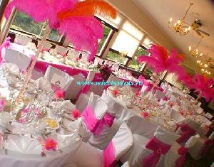 Agentie Botez Bucuresti