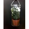  Ambalaj plastic transparent pentru flori 