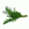 Amenajare gradini cu plante aromatice