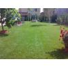 Amenajari gradini si spatii verzi - Amenajare Gradini