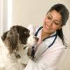  Aparatura medicala de uz veterinar  - Aparate uz veterinar