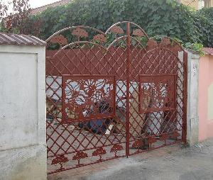 Garduri, porti