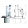 Bec Xenon H4 Xenon-Halogen - Xenon