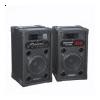 Boxe audio DS-2008