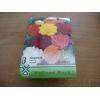 Bulbi begonia 3 bucati