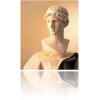 Coloranti naturali I Colori Classici 0 750 ml - Stucco Venez