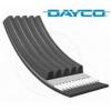 Curea de transmisie Opel Dayco - Curele