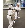 Karate timisoara