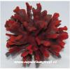 Decor acvariu Reef Siliconic Y61 Ocean Free - Acvarii Ocean 