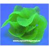 Decor acvariu Reef Siliconic Y118 Ocean Free - Acvarii Ocean