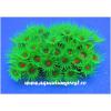 Decor acvariu Reef Siliconic Y108 Ocean Free - Acvarii Ocean