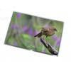 Display pentru Laptop 12 1 inch wide mat