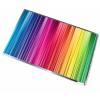 Display pentru Laptop 17 inch wide bright lucios 