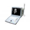 Ecograf veterinar Ecoson 800V cu 1 sonda - Ecografe