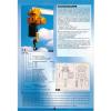  Electropalane cu lant sarcina 0 125 - 5 0 tone 