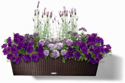 elemente decorative