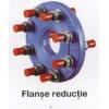 Flansa Reductie