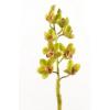 Flori artificiale Cymbidium tija Green - Flori artificiale