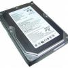 Hard Disk Seagate 80GB S-ATA - Hard Disk