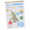 Hartie color 5 culori neon 80g E1566