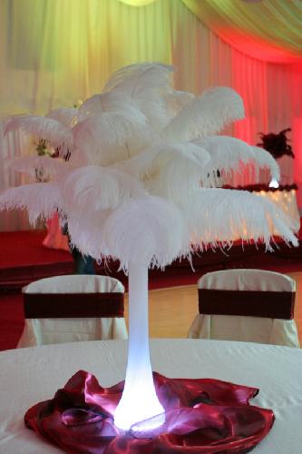 DECOR CU PENE ORADEA