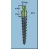 Implant dentar Alphabio - Alphabio Implant Dentar