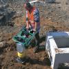 Inchiriere utilaje compactare - Cilindri compactori
