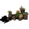 Intretinere plante de interior - Intretinere plante