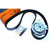 Kit distributie Audi A3 8L - 1 6