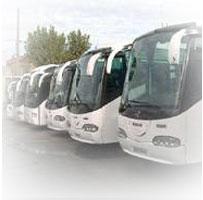 transport international persoane,