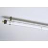 Lampi fluorescente