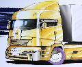 TRANSPORT MARFA TIMIS - NEAMT