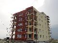 Placari polistiren