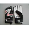 Manusi portar Reusch
